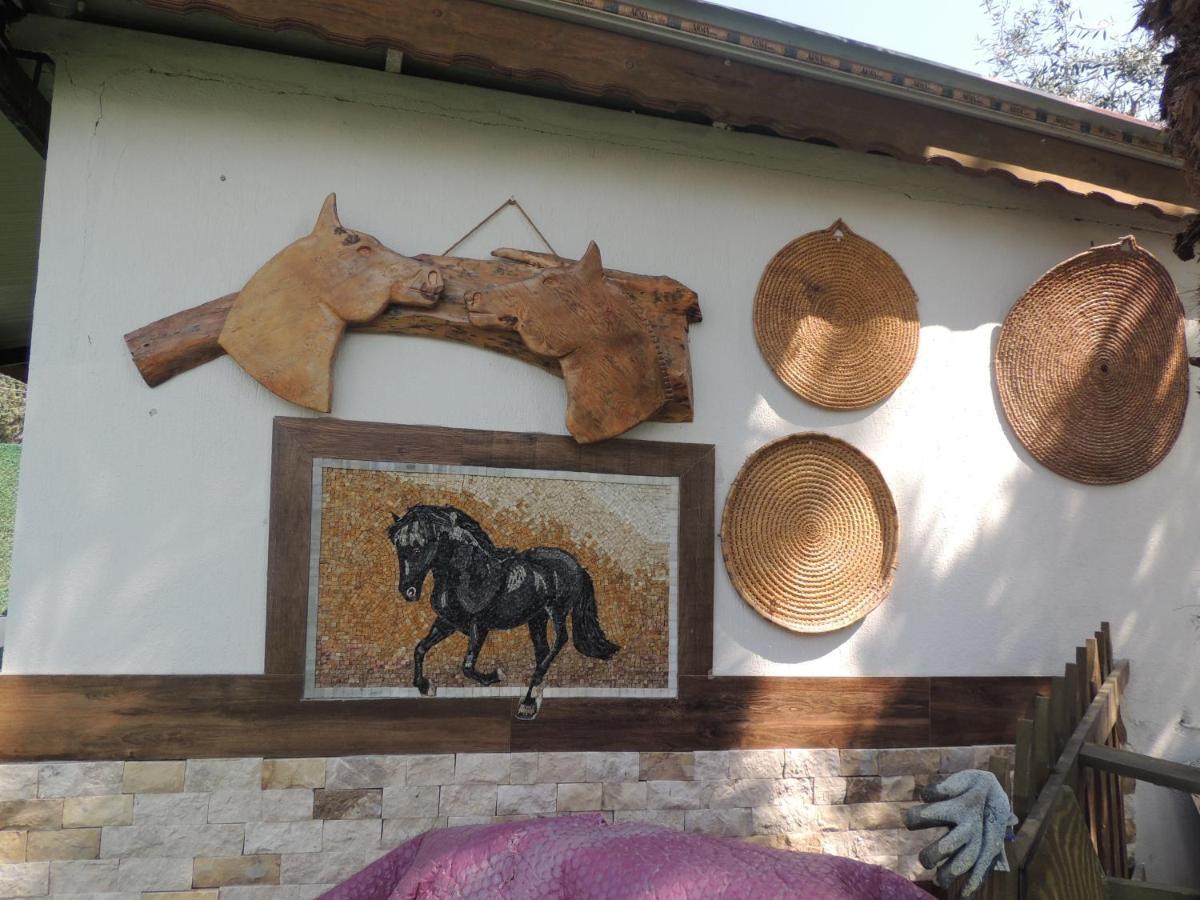 Hotel Apollon Garden Pamukkale Denizli  Exterior foto